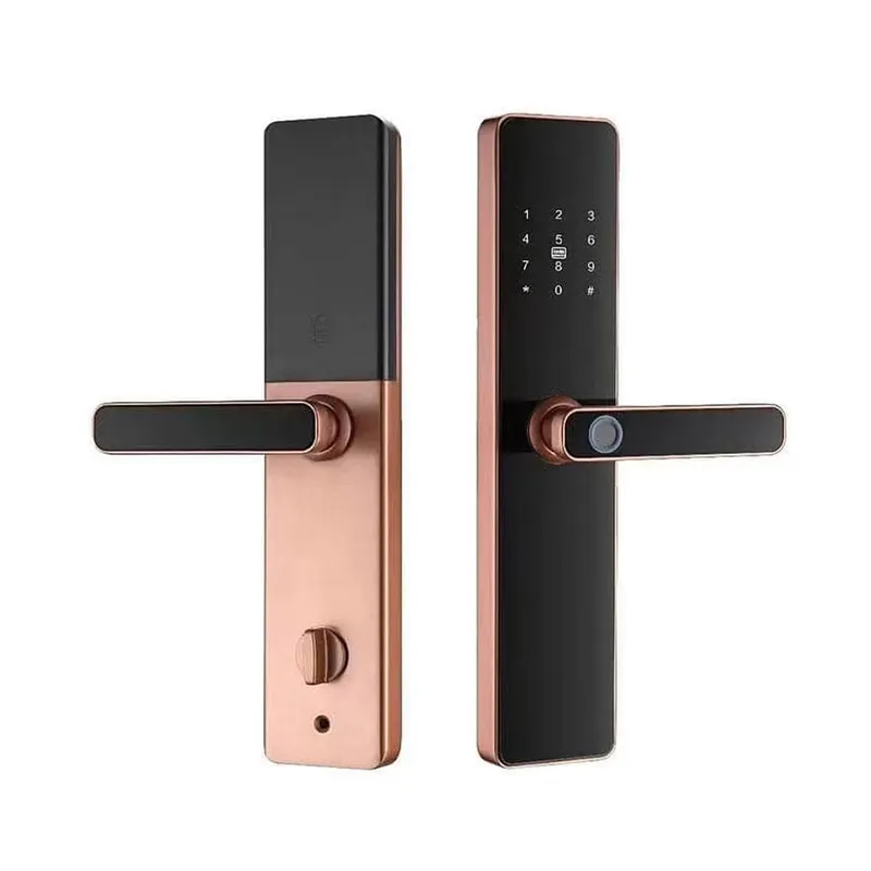 Khóa Vân Tay Cửa Gỗ Kasslock K04