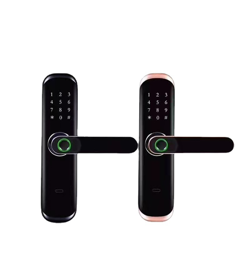 Khóa Vân Tay Cửa Gỗ Kasslock K01